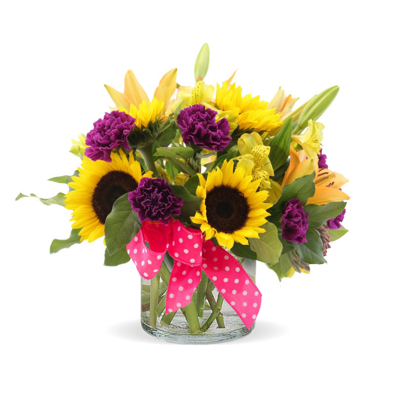 Sunny Sunny Daze - Same Day Delivery