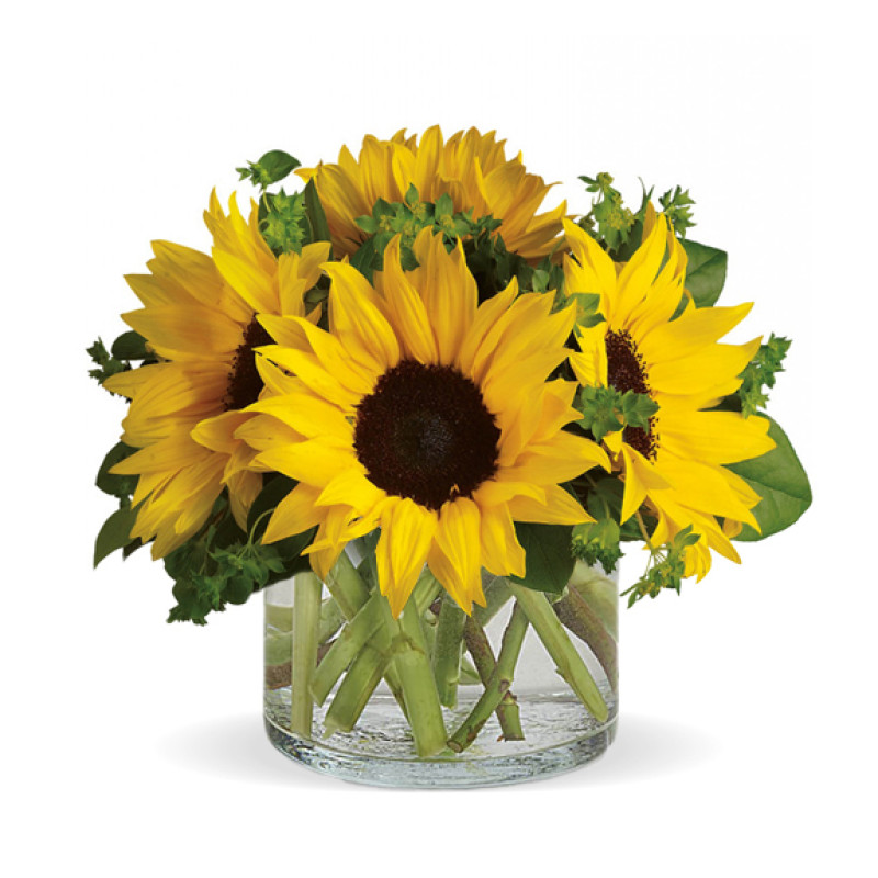 Sunny Sunbury - Same Day Delivery