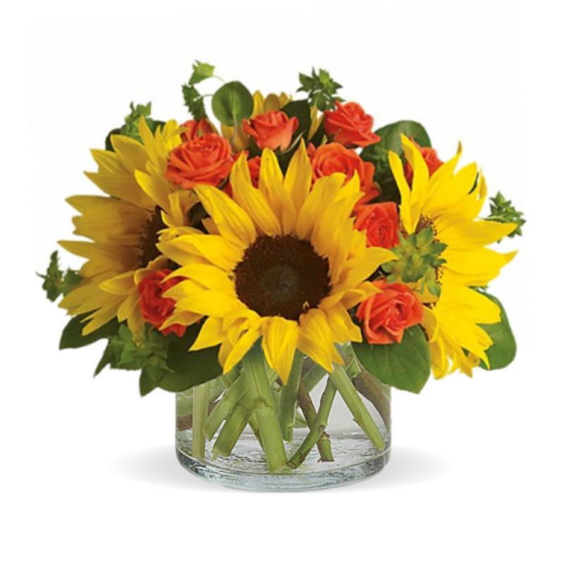 Sunny Sunbury - Same Day Delivery