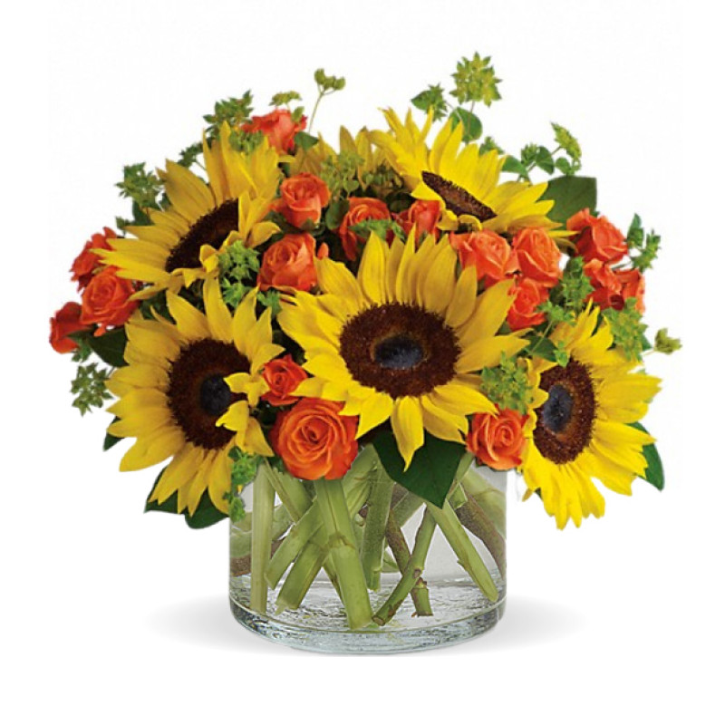 Sunny Sunbury - Same Day Delivery