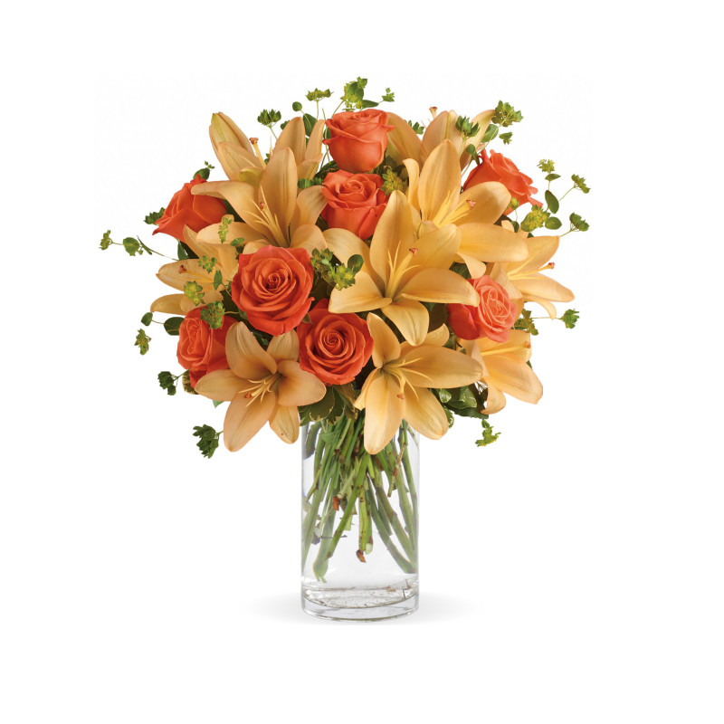 Sunset in Galloway - Same Day Delivery