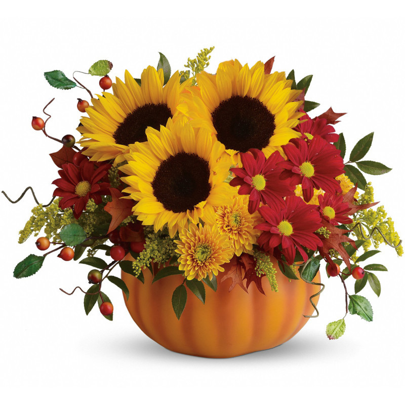 Columbus Pretty Pumpkin - Same Day Delivery