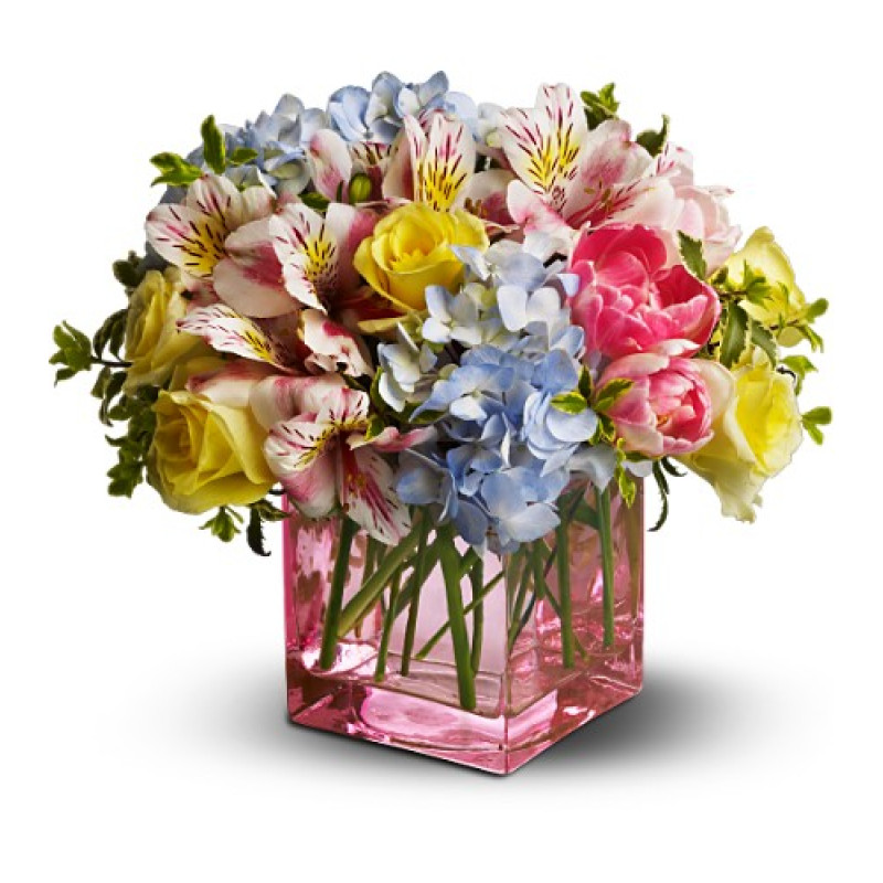 Spring Sweetness - Same Day Delivery