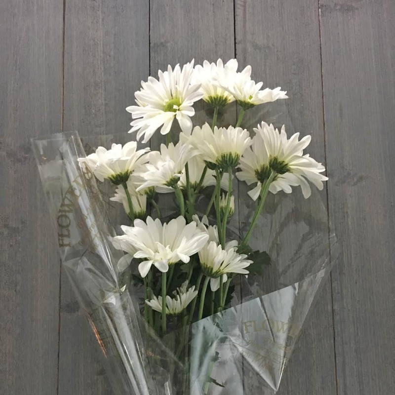Daisy Bouquet - Same Day Delivery