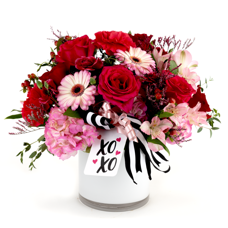 Hugs and Kisses XOXO - Same Day Delivery