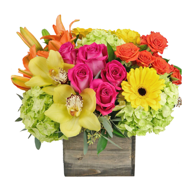 Woodland Citrus Punch Large - Same Day Delivery