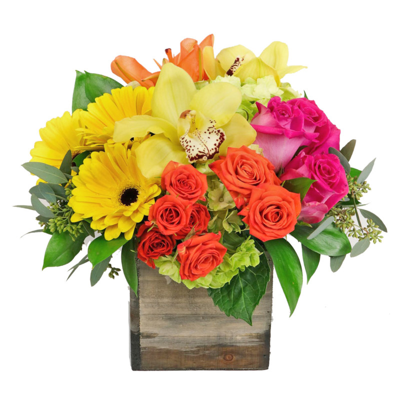 Woodland Citrus Punch Medium - Same Day Delivery