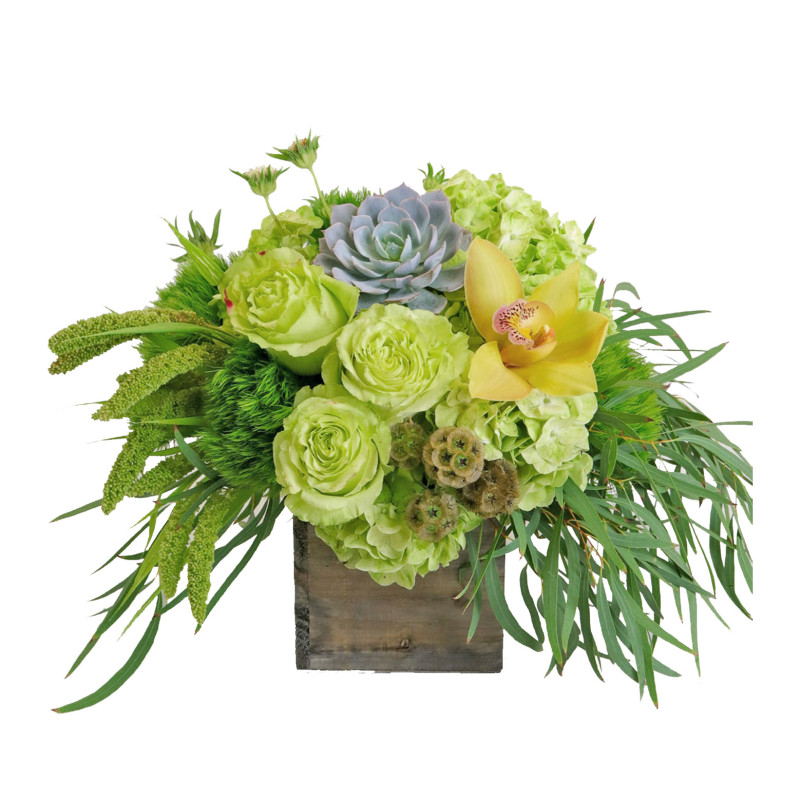 Woodland Envy Medium - Same Day Delivery