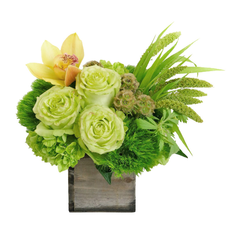 Woodland Envy Small - Same Day Delivery