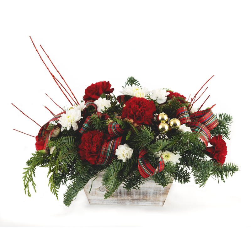 Holiday Cheer - Same Day Delivery