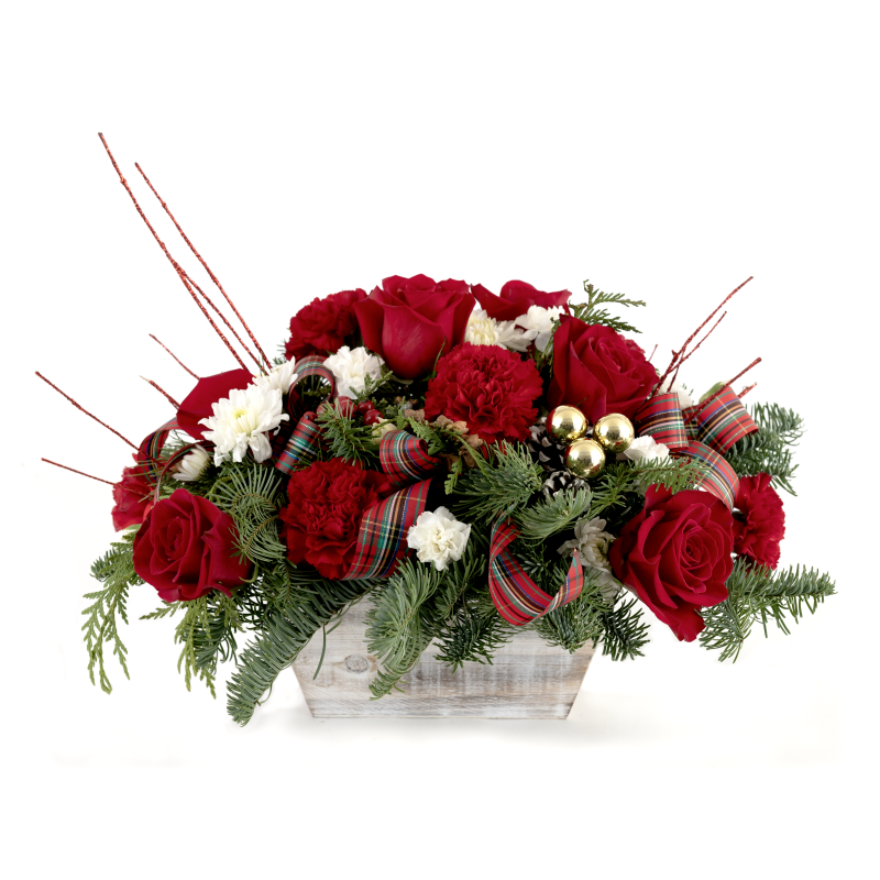 Holiday Cheer - Same Day Delivery