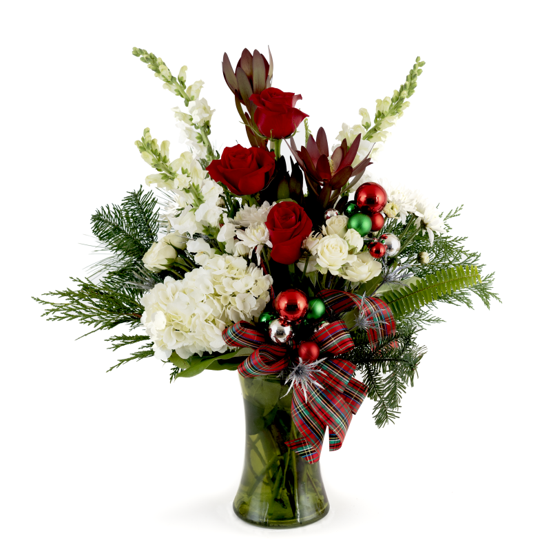 Winter Blooms - Same Day Delivery